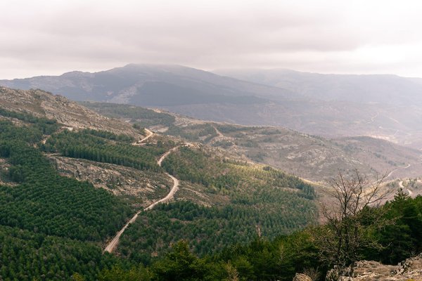 Comment sécuriser ses données avec un mot de passe fort ?